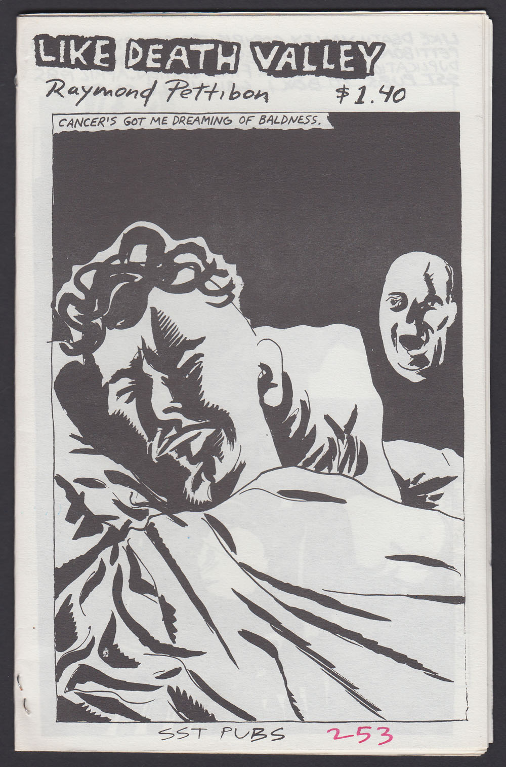 RYEBREAD RODEO! LIKE DEATH VALLEY, Raymond Pettibon