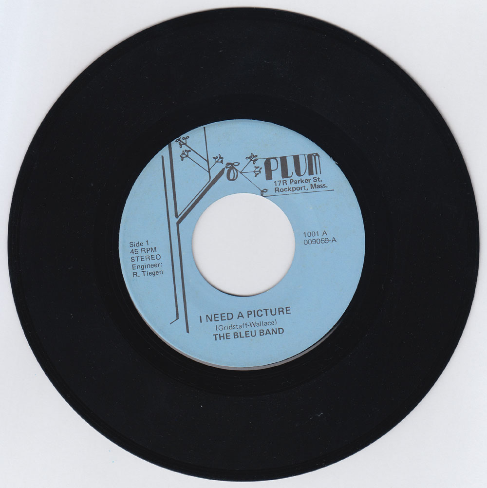 RYEBREAD RODEO! BLEU BAND I Need A Picture 7in. (Plum 1980), Records