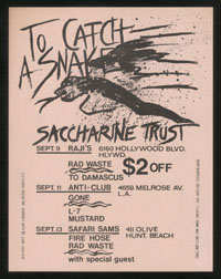 SACCHARINE TRUST at Raji's + Anti-Club + Safari Sams